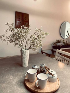 Căn hộ Oasky Bãi Sau Thùy Vân